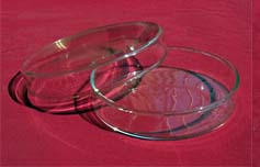 玻璃平皿18cm 细胞细菌生化培养皿
